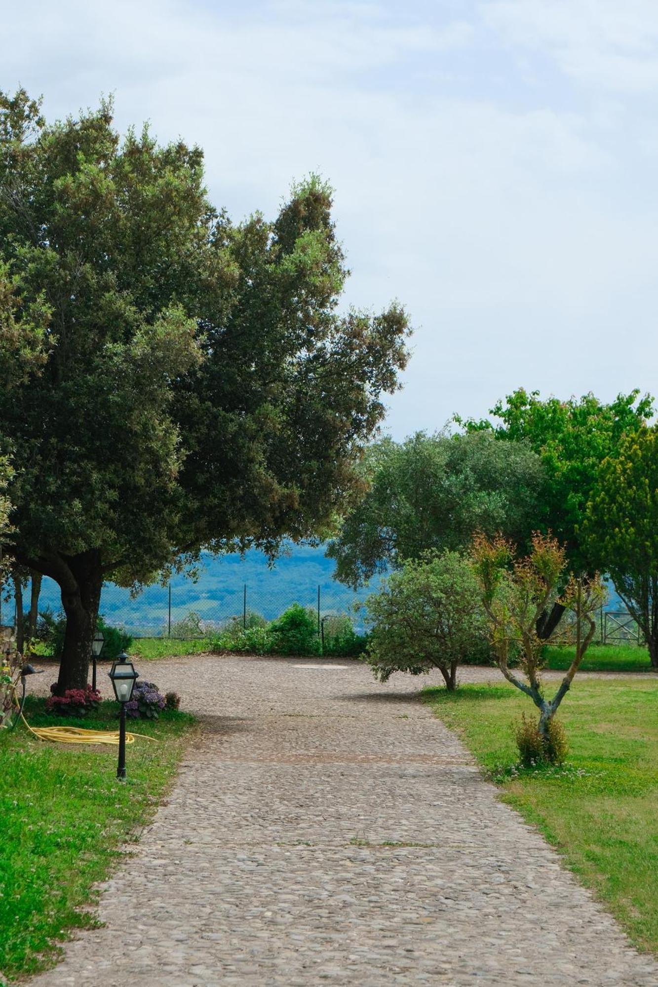 Villa Casale Beatrice Degli Ulivi Orvieto Exterior foto